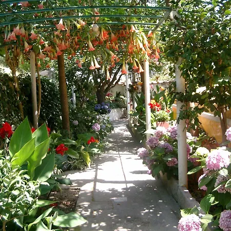 & Matarese Hotel